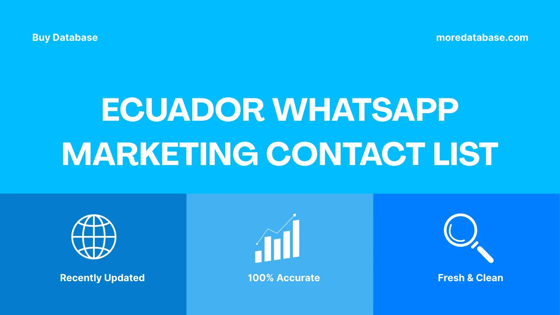 Ecuador WhatsApp Marketing Contact List
